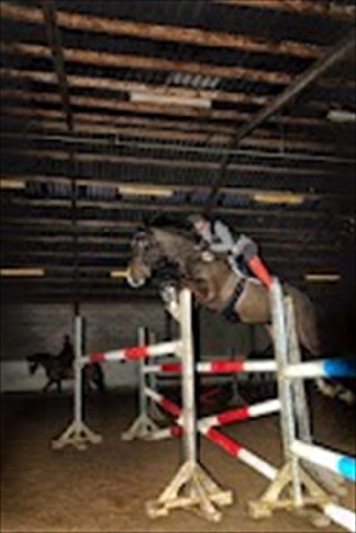 Alt muligt billede 44