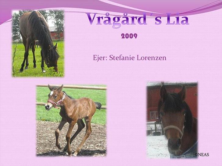 Navneskilt til jeres heste billede 19