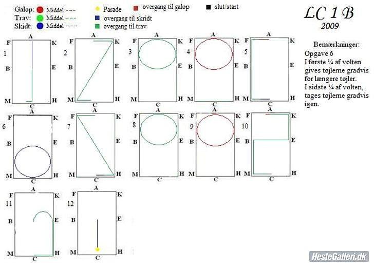 Dressur Programmer  - lc1 billede 1