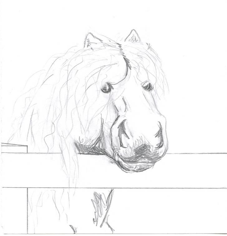 Tegninger jeg har tegnet... billede 2