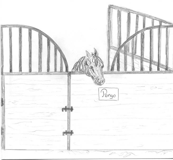 Tegninger jeg har tegnet... - Pongo, en venindes pony billede 9