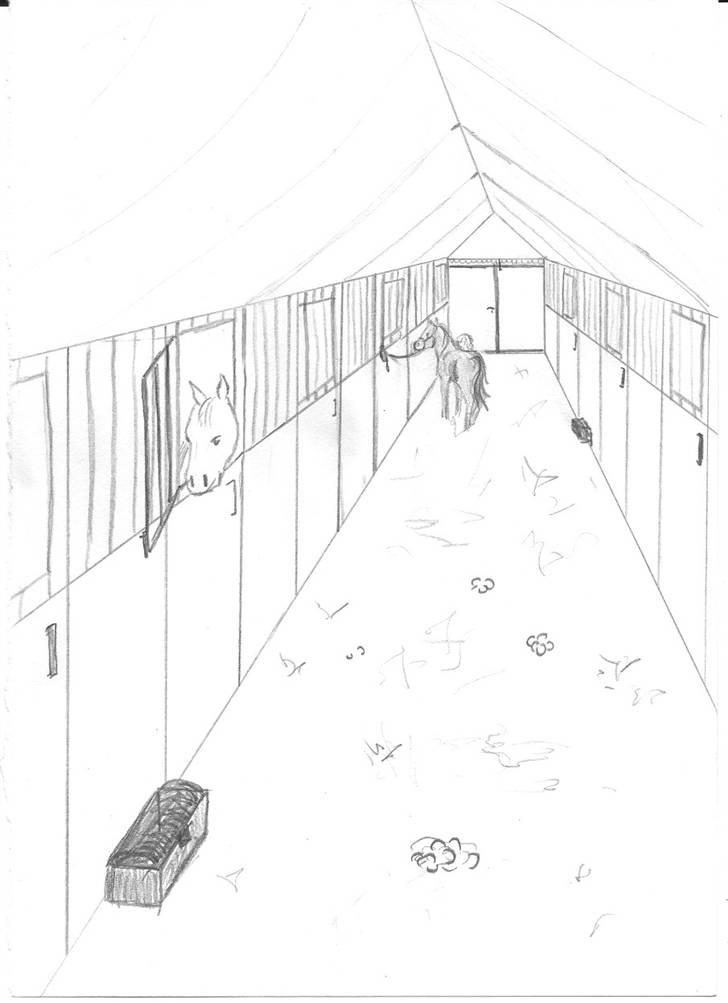 Tegninger jeg har tegnet... - Sky Dancer, en anden venindes pony... billede 13