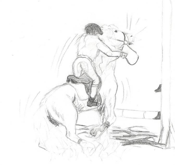 Tegninger jeg har tegnet... billede 11