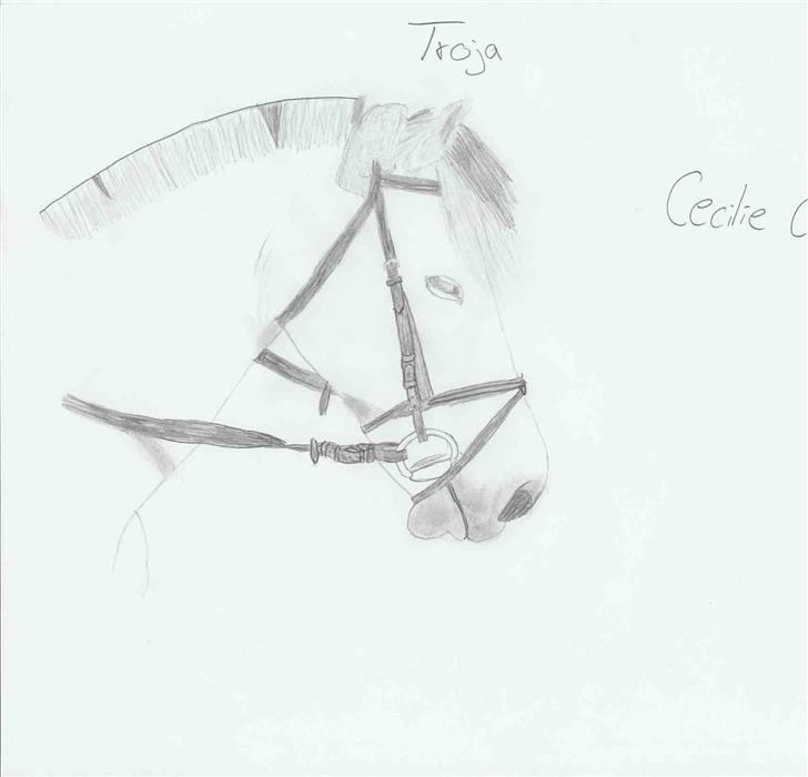 Tengninger til andre - Troja billede 2