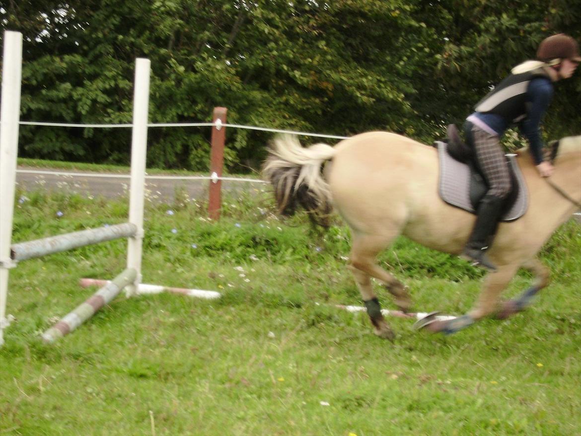 Spring træning på Anemone, 2011. billede 7