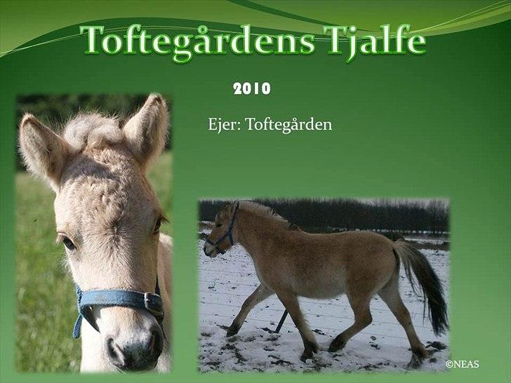 Navneskilt til jeres heste billede 40