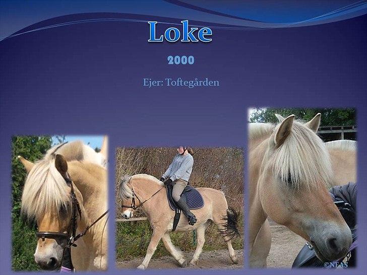 Navneskilt til jeres heste billede 42