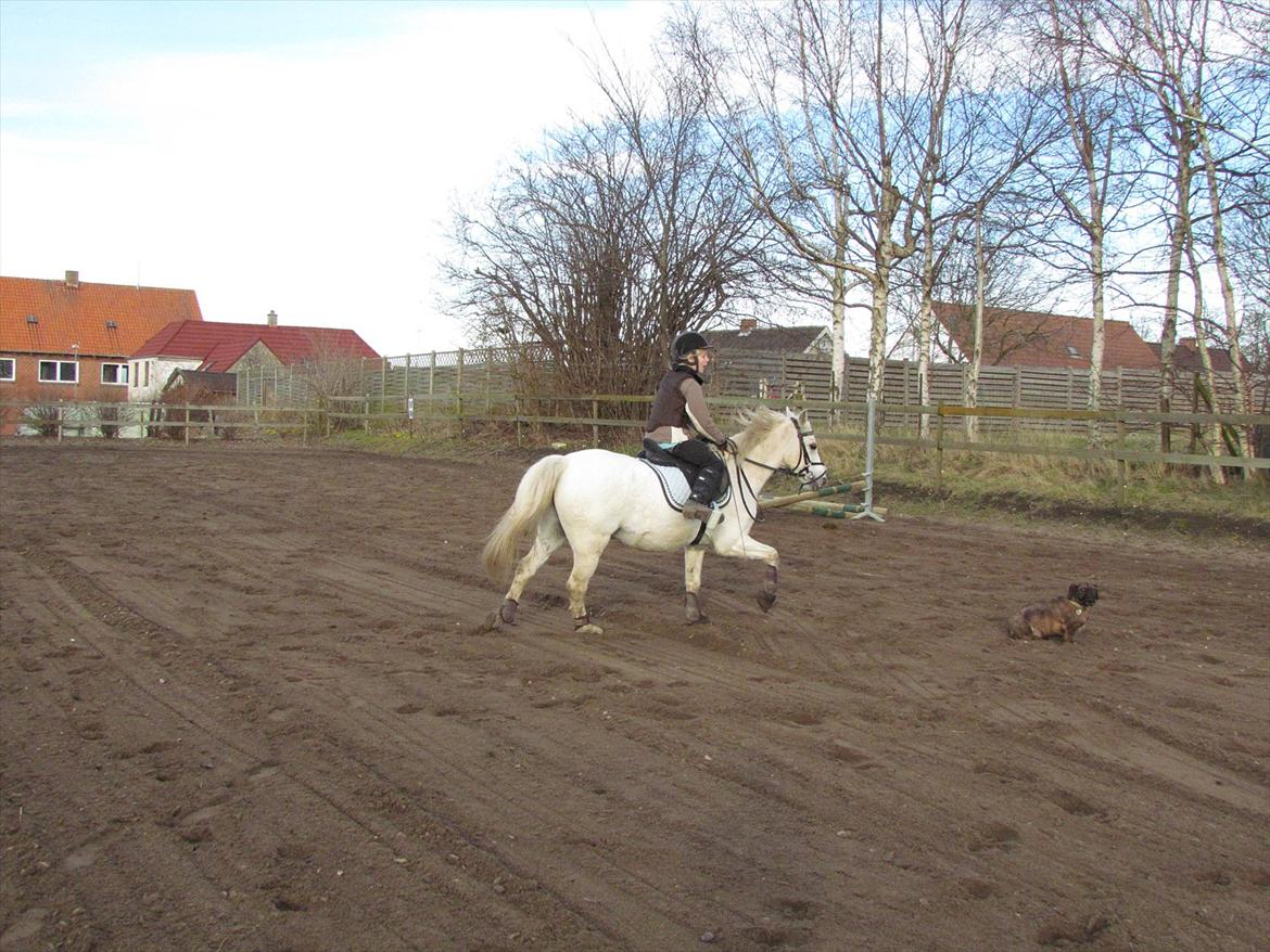 lidt tøse hygge billede 2