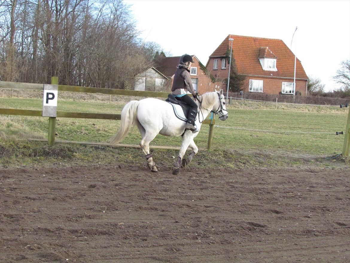 lidt tøse hygge billede 3