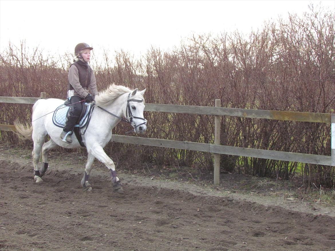 lidt tøse hygge billede 4