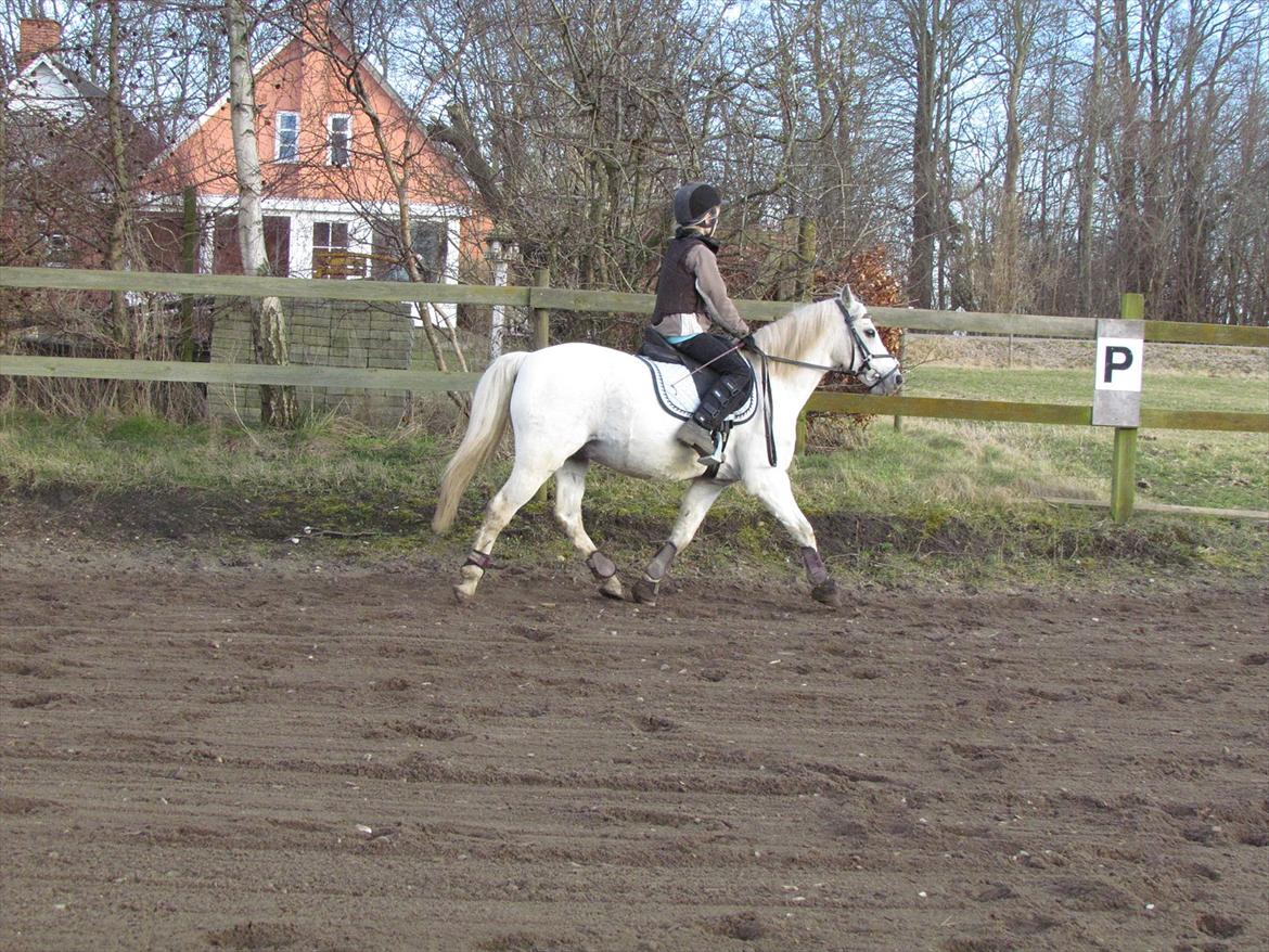 lidt tøse hygge billede 5