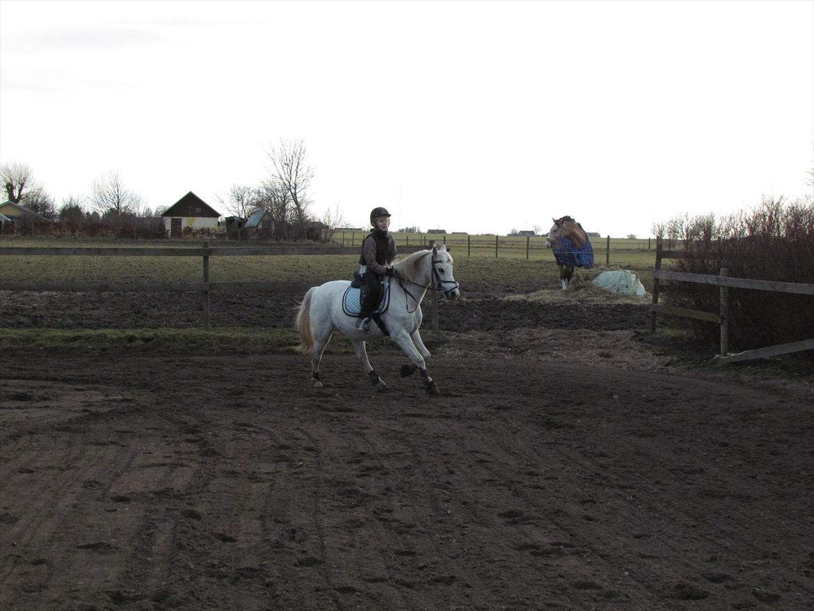 lidt tøse hygge billede 6