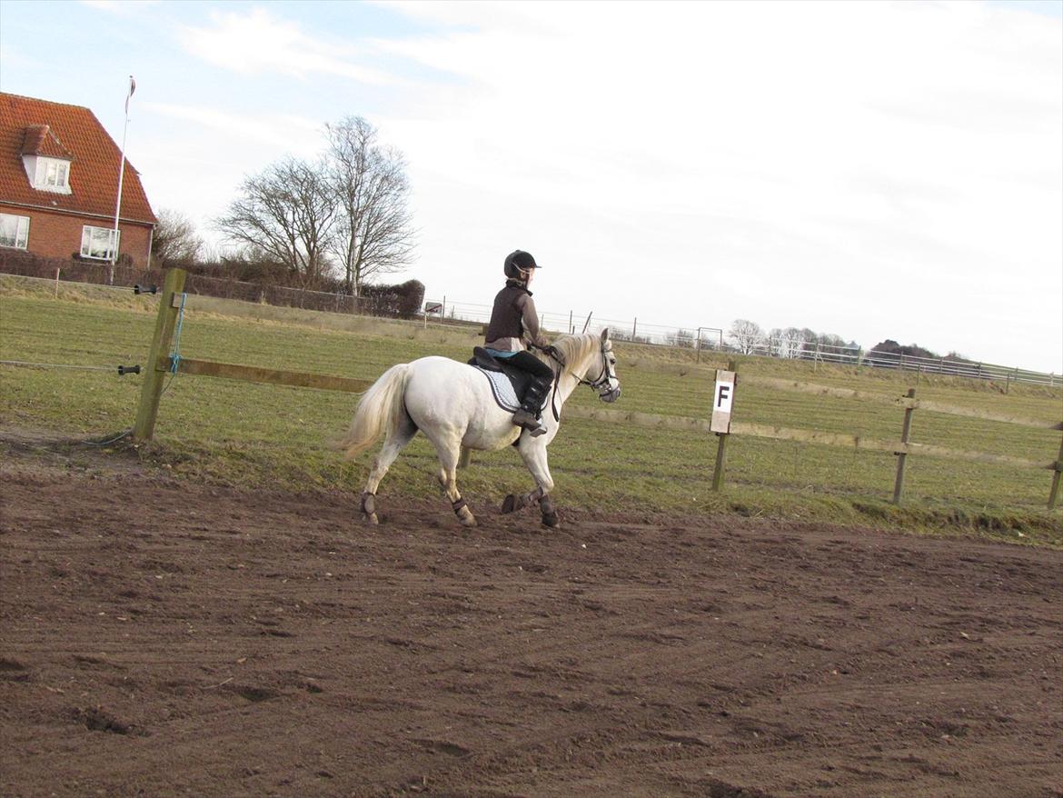 lidt tøse hygge billede 7