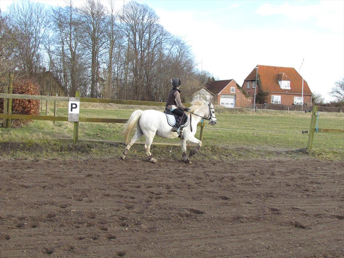 lidt tøse hygge billede 9