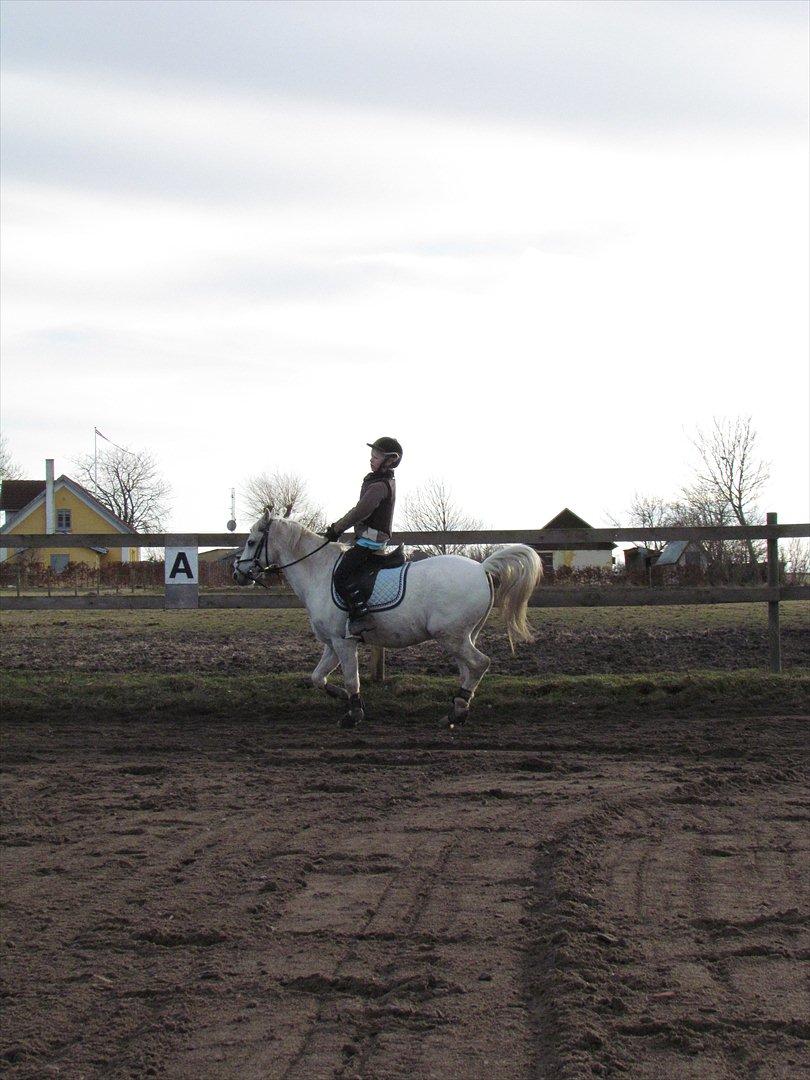 lidt tøse hygge billede 13