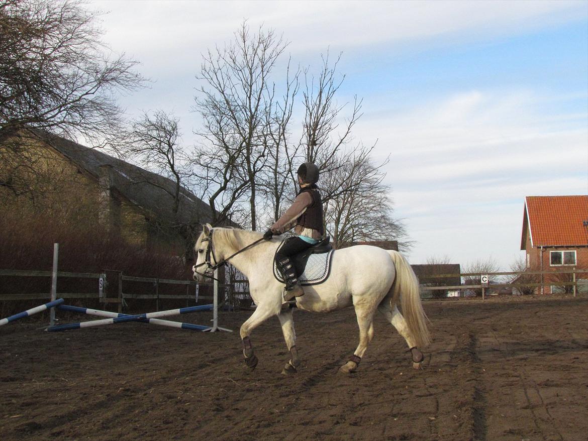 lidt tøse hygge billede 15