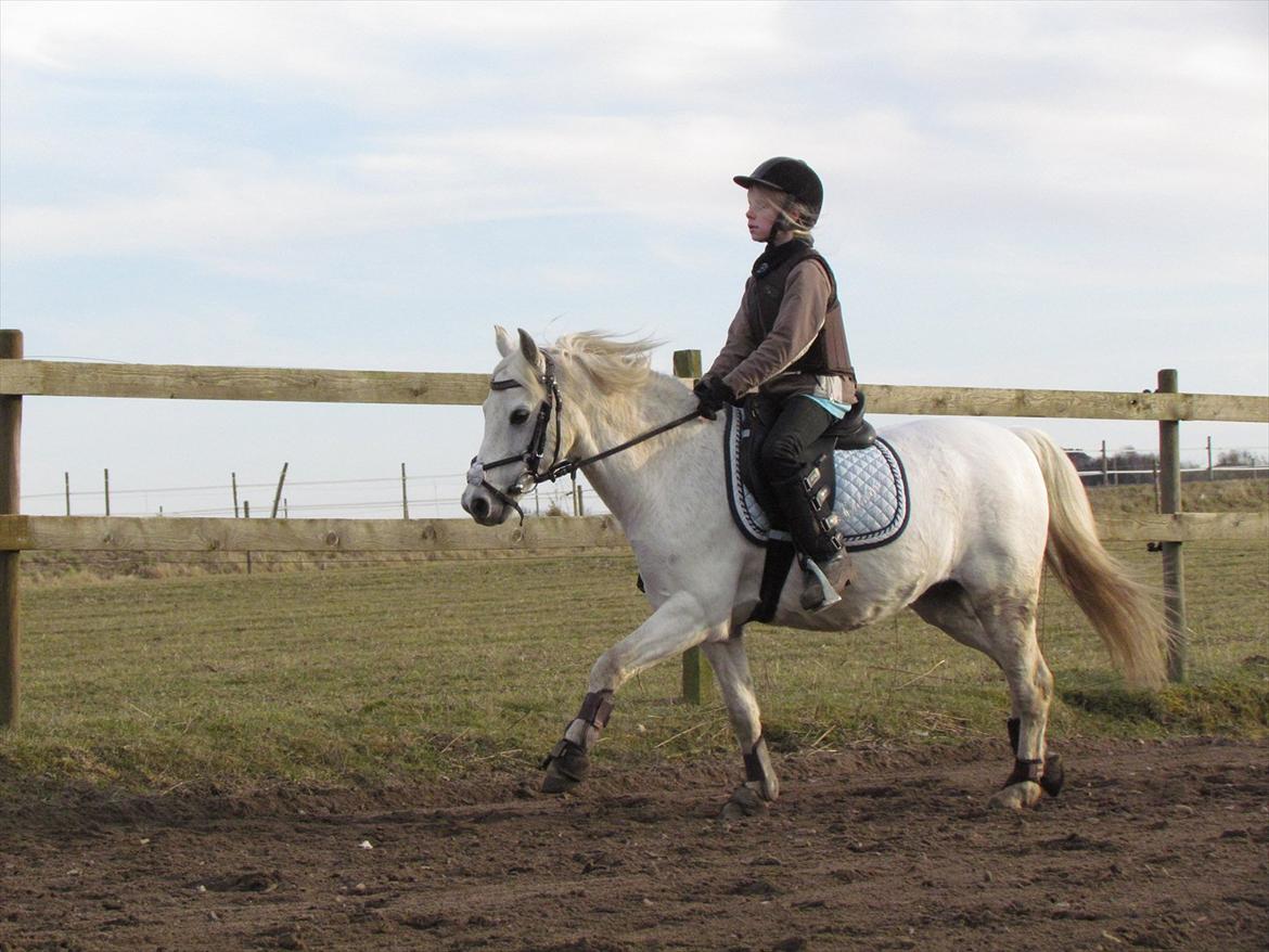 lidt tøse hygge billede 16