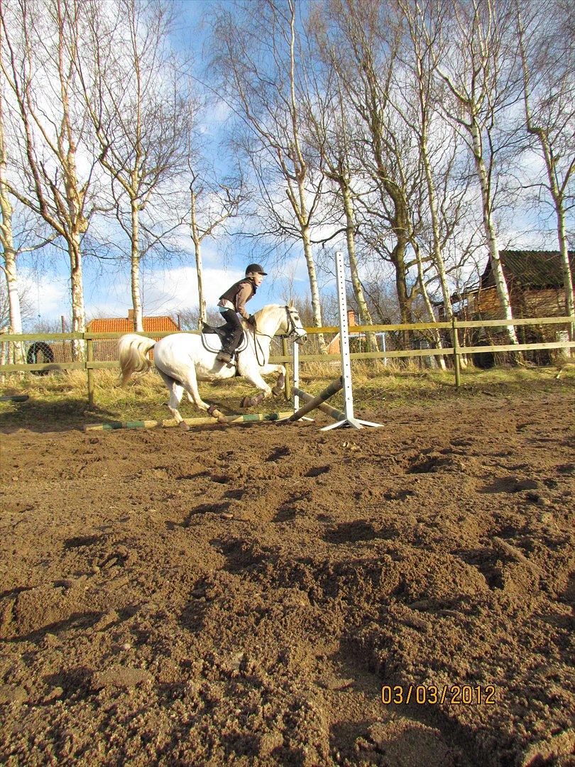 lidt tøse hygge billede 20