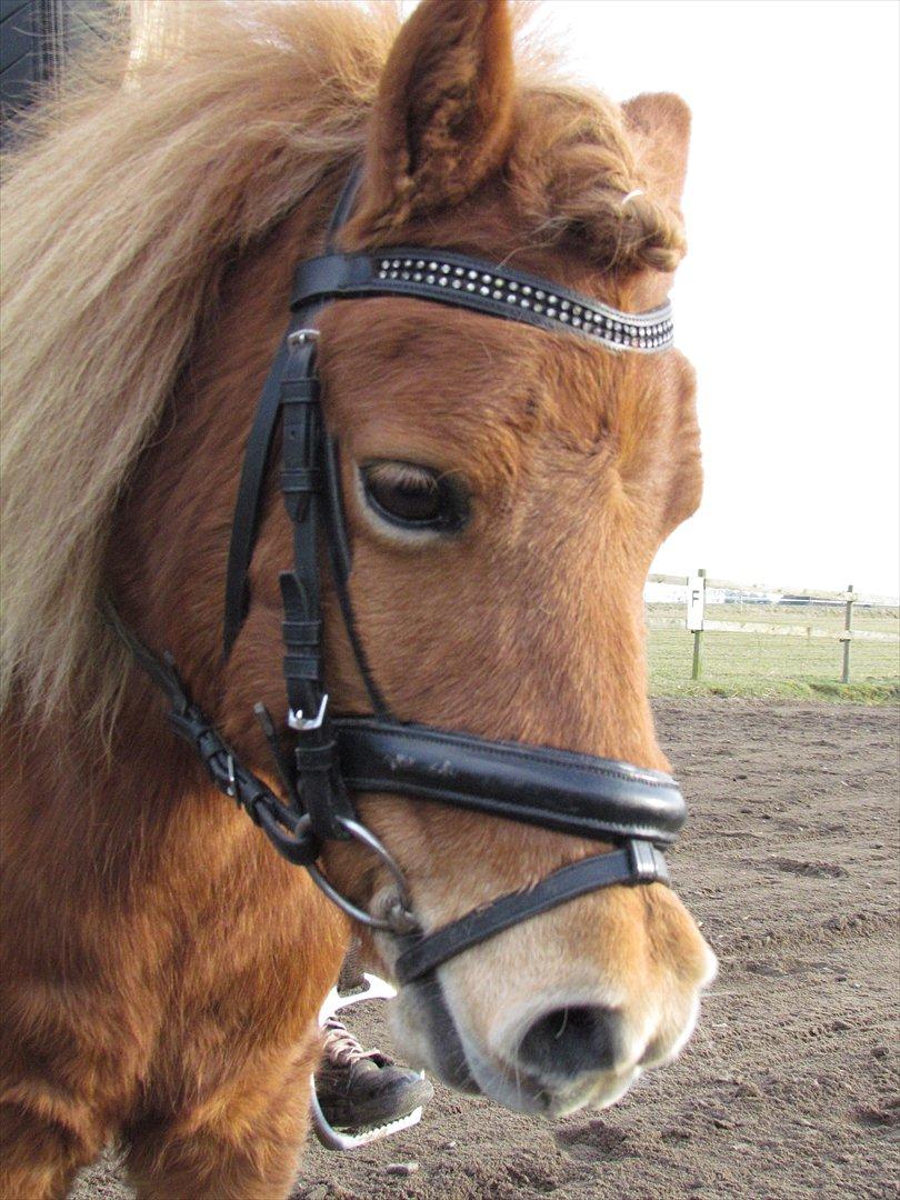 lidt tøse hygge billede 30