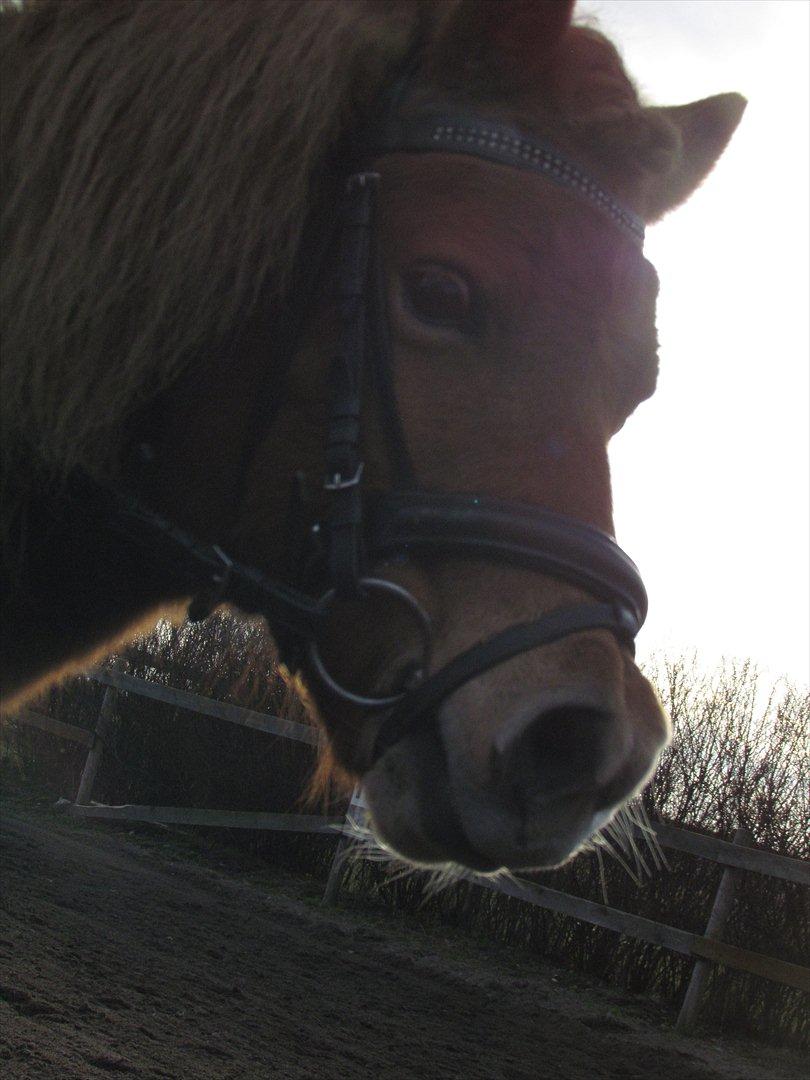 lidt tøse hygge billede 32