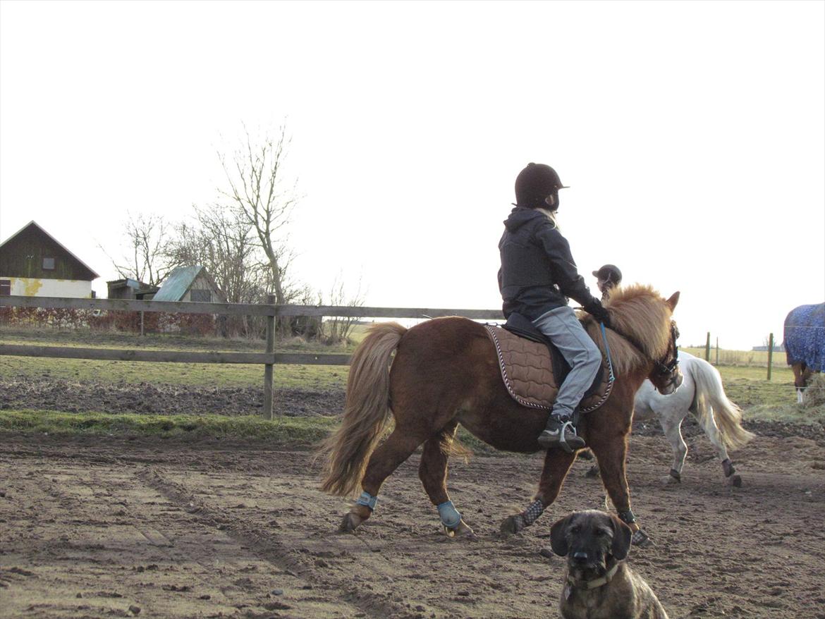 lidt tøse hygge billede 33