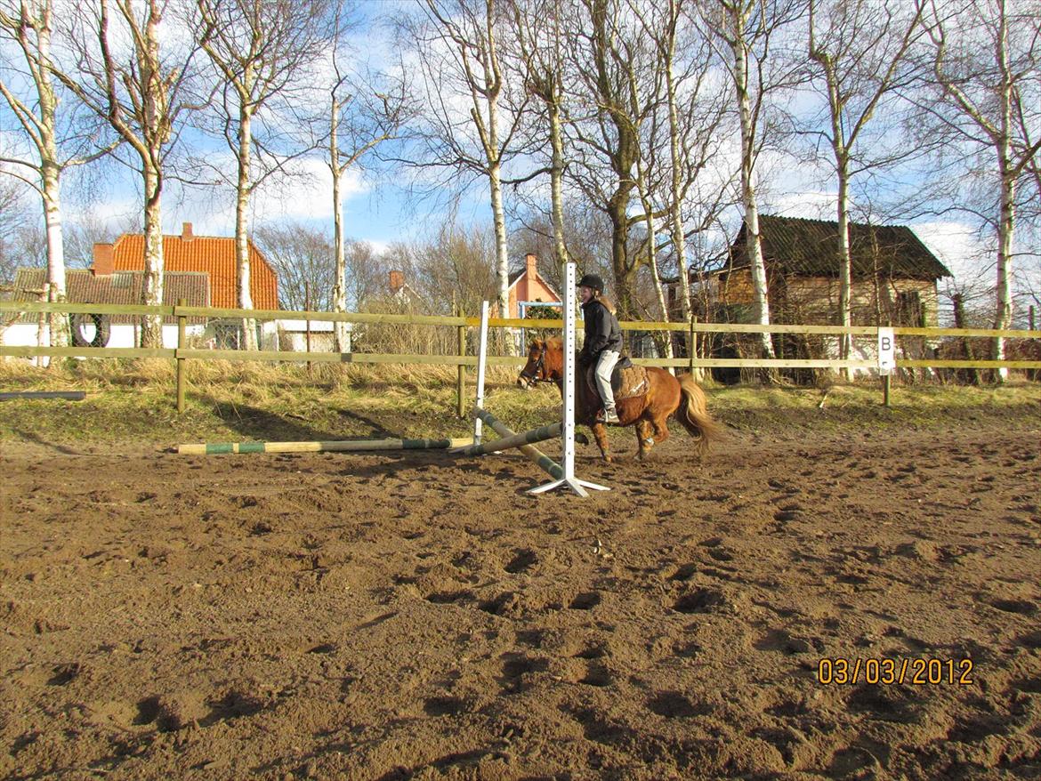 lidt tøse hygge billede 41