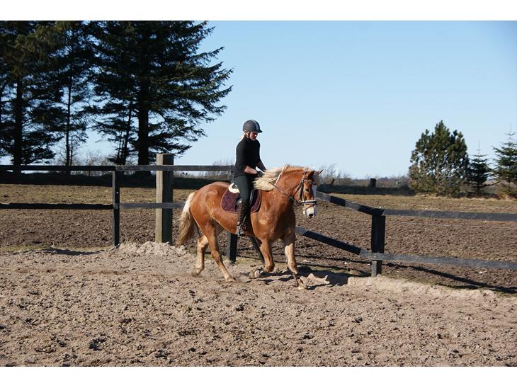 {{currentPhoto.altText}} billede {{currentPhoto.number}}