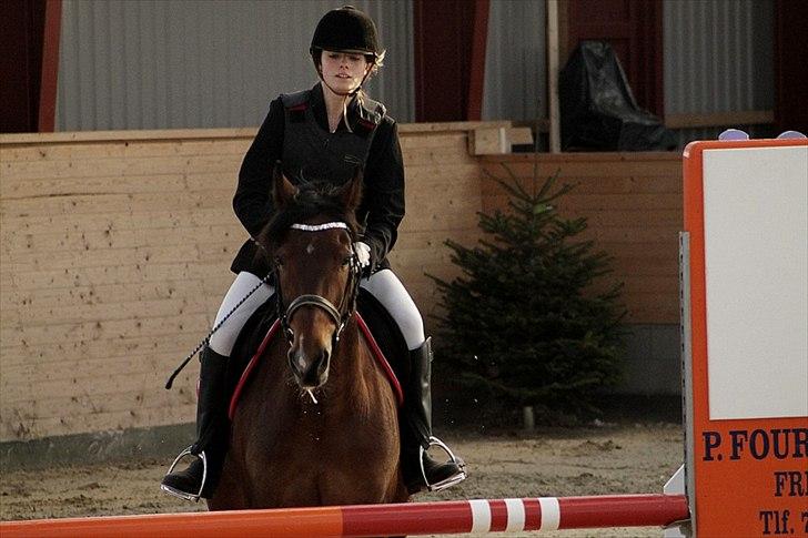 FØRSTE C-STÆVNE MED LB :D! - Her kom LB aaaaaaalt for tæt .. billede 3