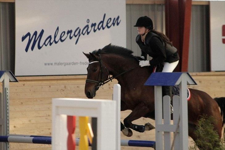 FØRSTE C-STÆVNE MED LB :D! - bred oksere, rytter var nervøs for den, men LB FLØØØJ bare :D billede 7