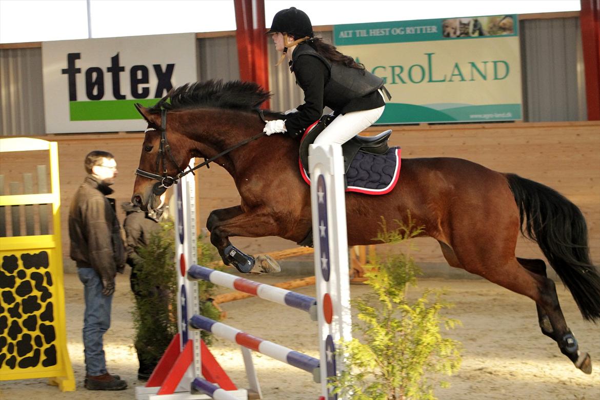 FØRSTE C-STÆVNE MED LB :D! - Let ja meget let ? :D billede 8