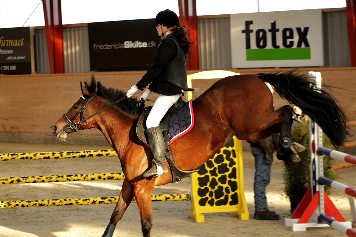 FØRSTE C-STÆVNE MED LB :D! - sådan, hold fast billede 9