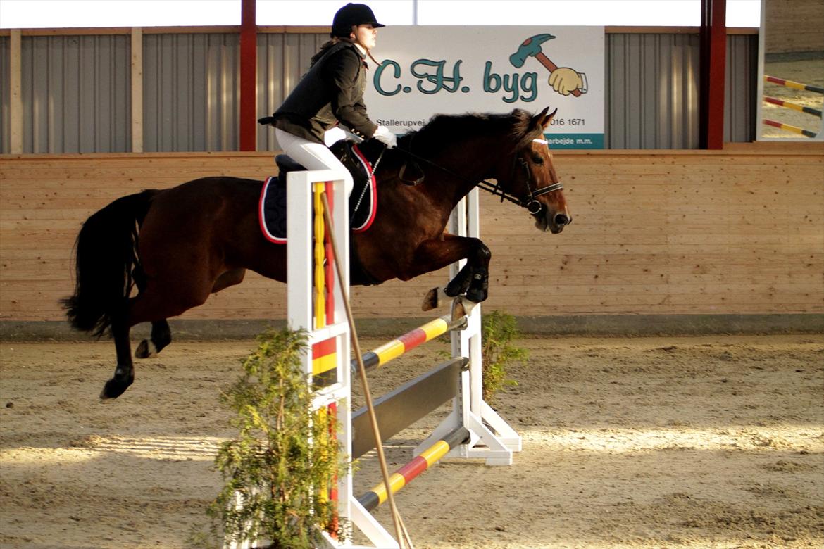 FØRSTE C-STÆVNE MED LB :D! - så sejt han kom ind i dobbeltspringet!1 billede 10