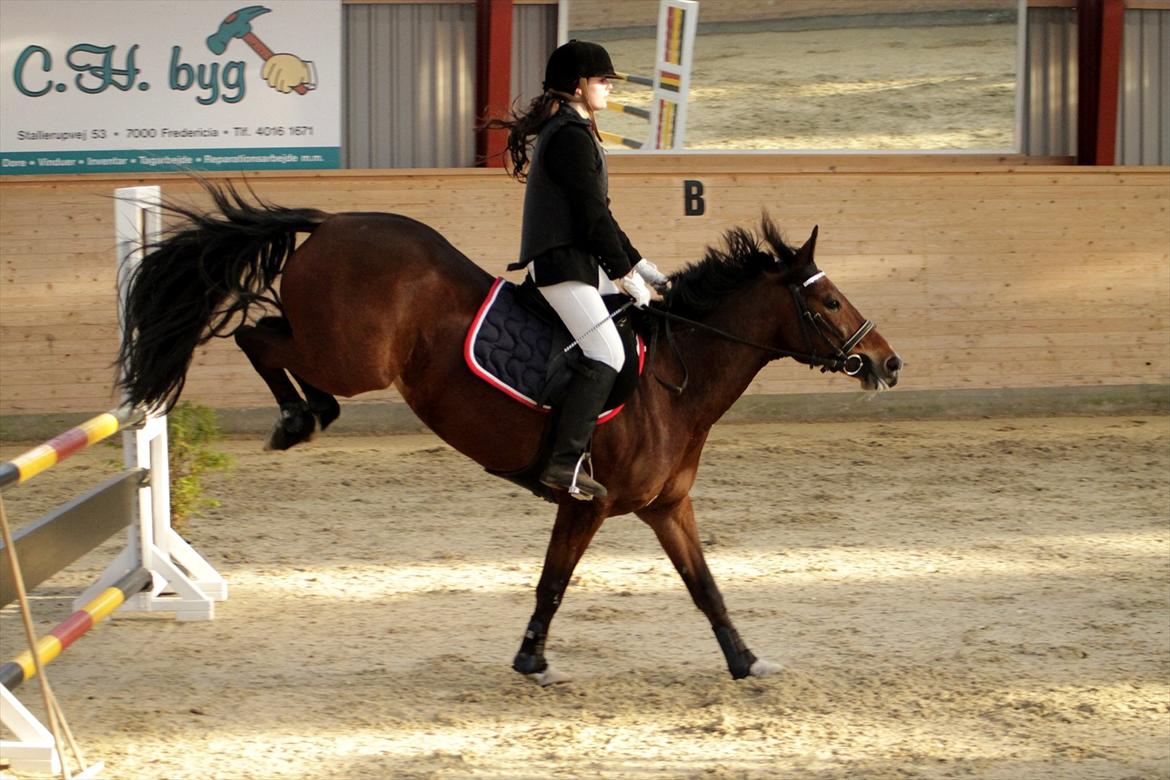 FØRSTE C-STÆVNE MED LB :D! - på vej til nr. 2 i dobbeltspring :D billede 11