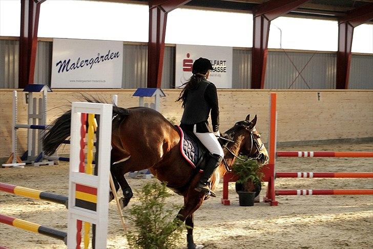 FØRSTE C-STÆVNE MED LB :D! - ingen bom skal røres billede 13