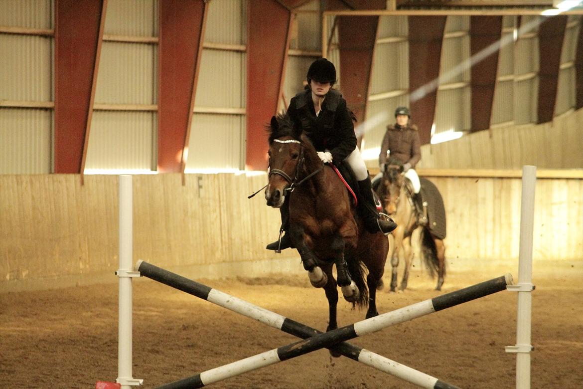 FØRSTE C-STÆVNE MED LB :D! - Opvarmning til ULC = 0 FEJL :D!!!!!!!!!! billede 15