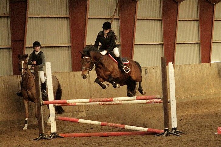 FØRSTE C-STÆVNE MED LB :D! - Han viste sig godt nok! billede 16