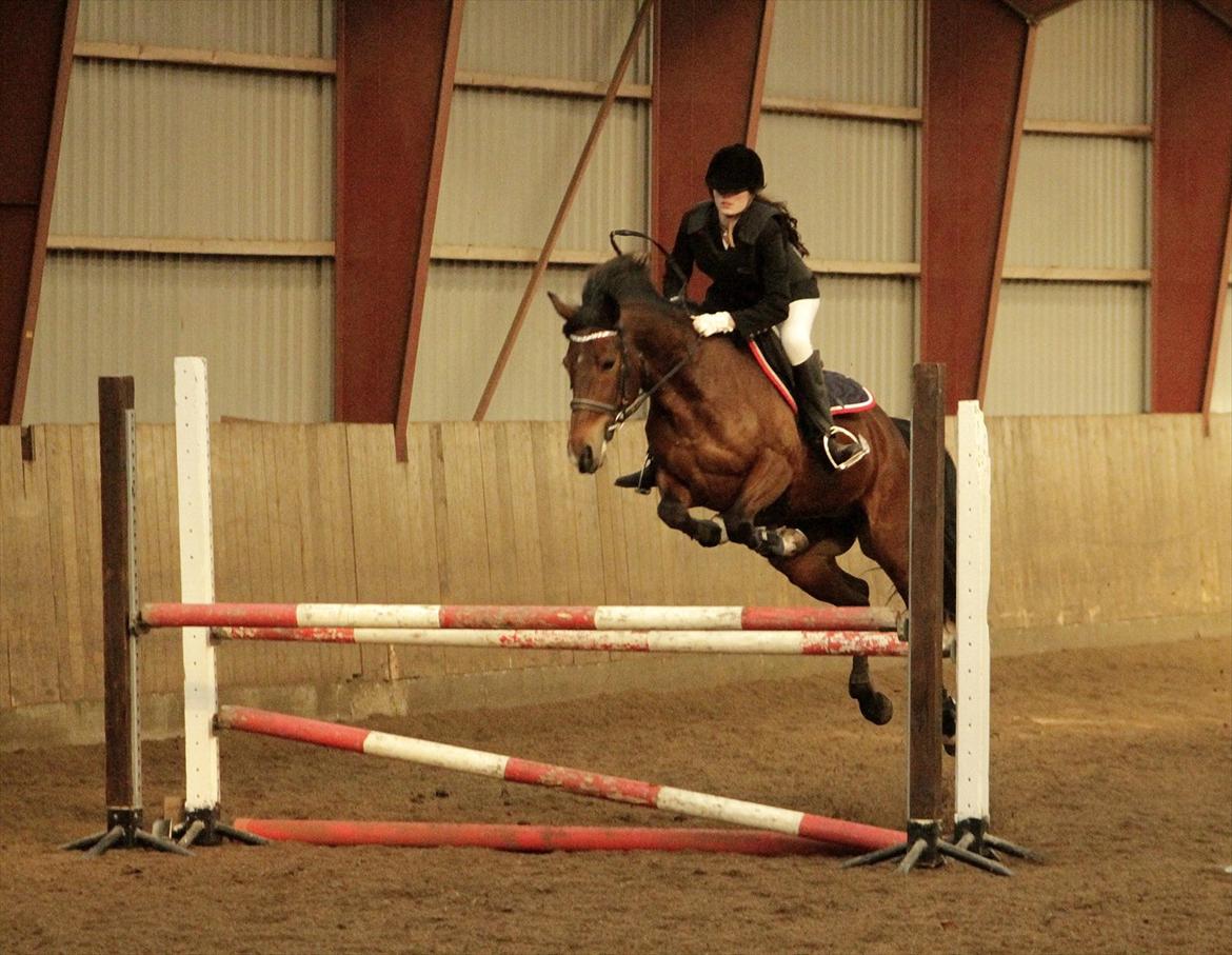 FØRSTE C-STÆVNE MED LB :D! - mums billede 17