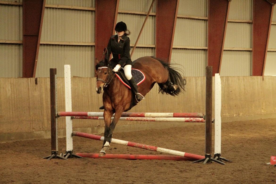 FØRSTE C-STÆVNE MED LB :D! - de bagben der, de gav den gas :O! billede 18