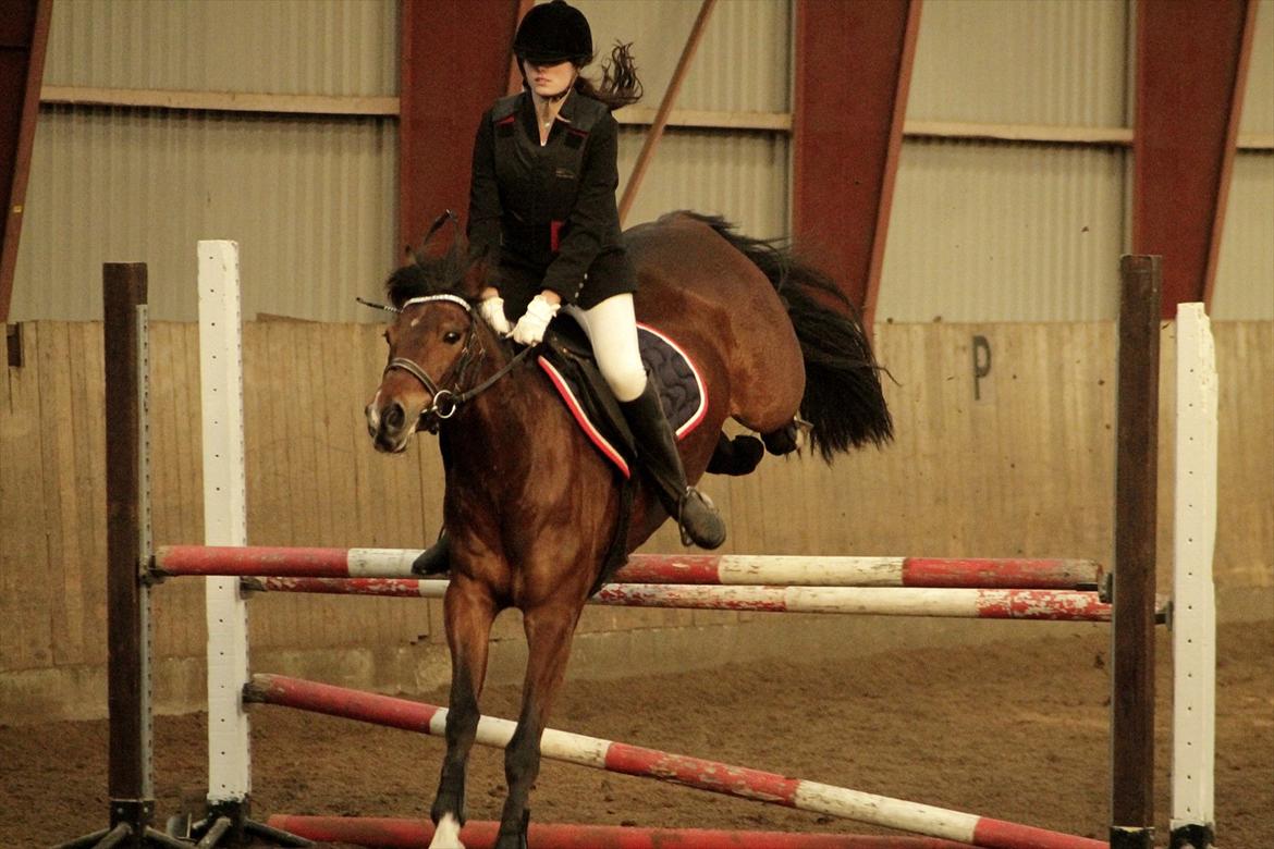 FØRSTE C-STÆVNE MED LB :D! - hmm skulle man sætte den 10 cm op?xD billede 20