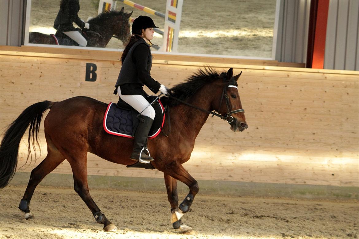 FØRSTE C-STÆVNE MED LB :D! - galop til start billede 23