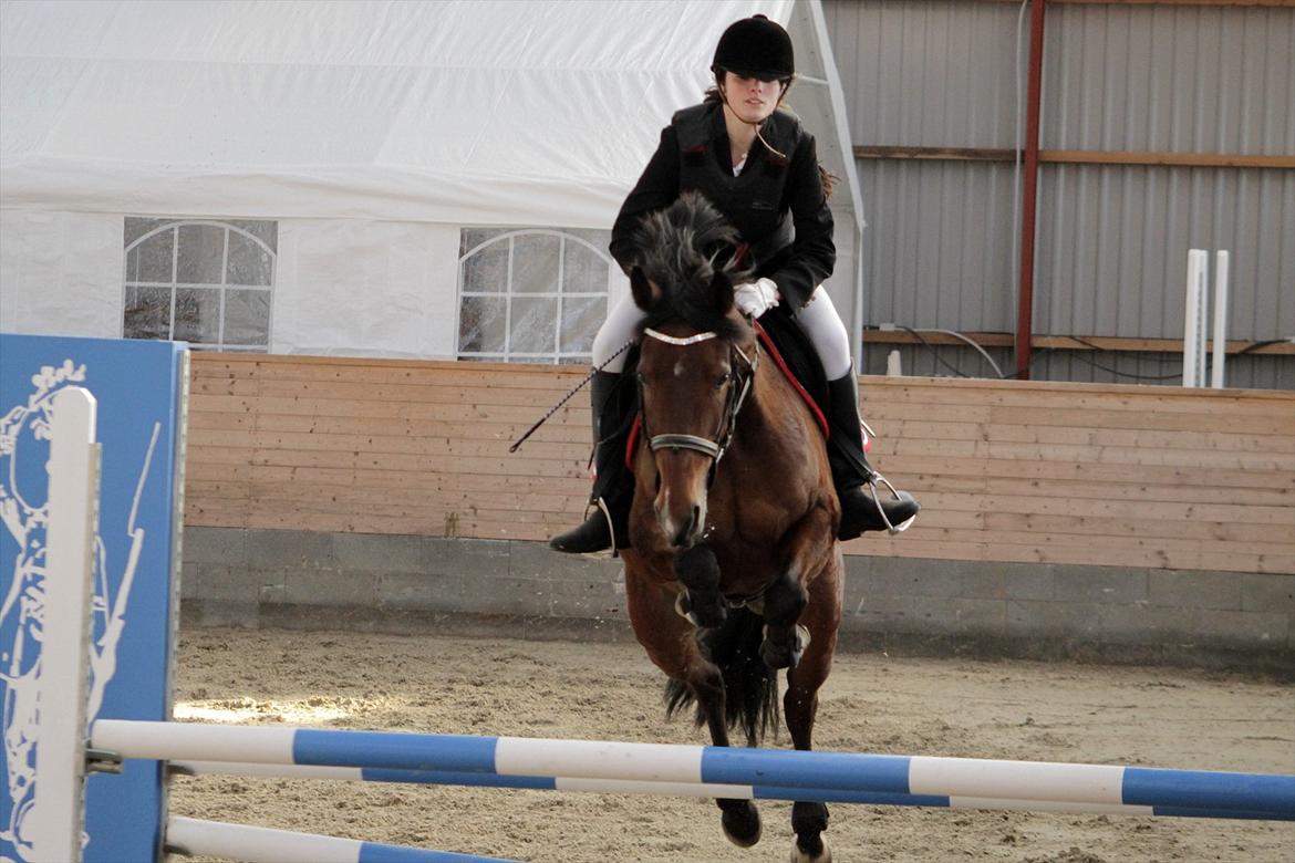 FØRSTE C-STÆVNE MED LB :D! - 1.spring til ULC :D billede 24