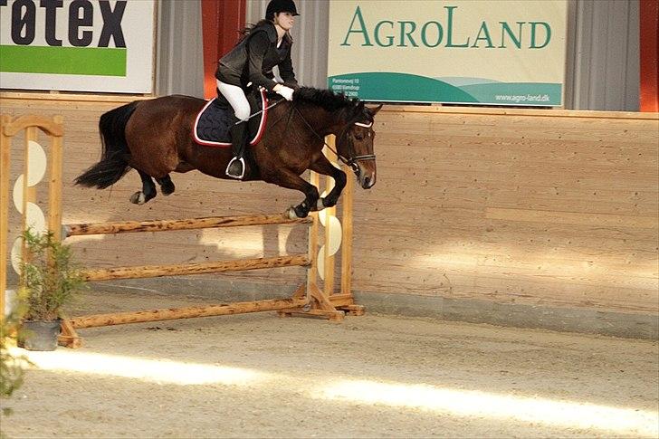 FØRSTE C-STÆVNE MED LB :D! - seje! billede 26