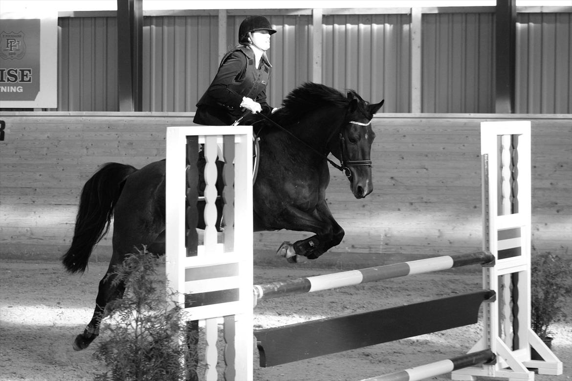 FØRSTE C-STÆVNE MED LB :D! - dobbeltspring igen, seje dyr :D billede 30