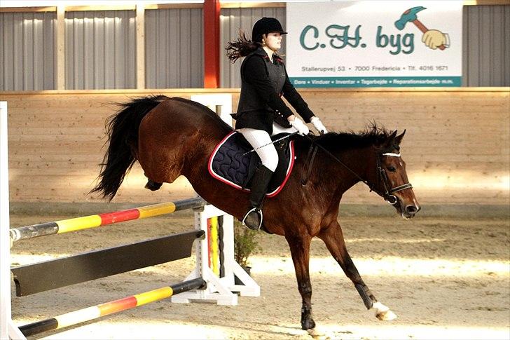 FØRSTE C-STÆVNE MED LB :D! - sådan! billede 31