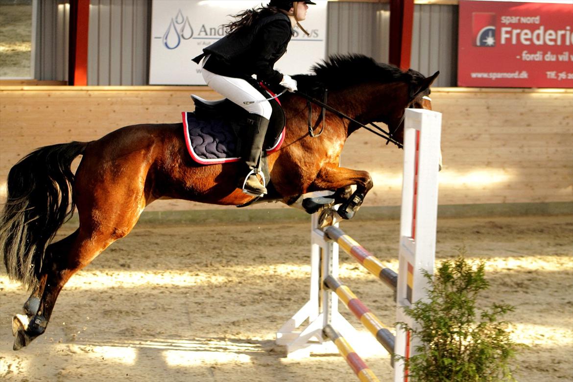 FØRSTE C-STÆVNE MED LB :D! - mums billede 32