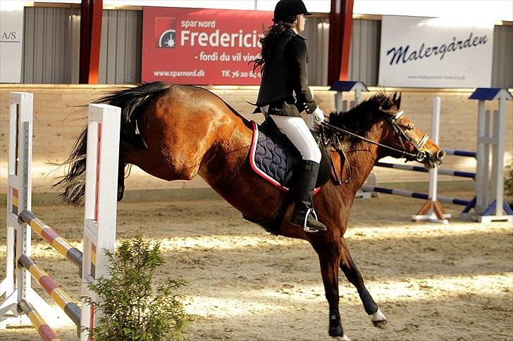 FØRSTE C-STÆVNE MED LB :D! - godt landet! billede 33