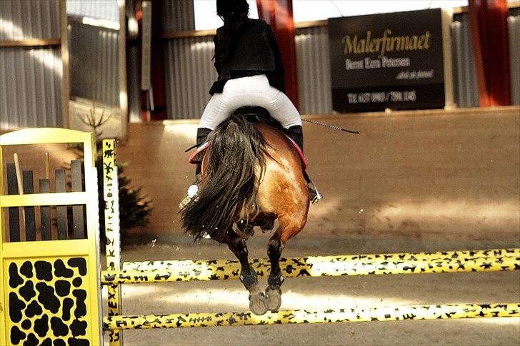 FØRSTE C-STÆVNE MED LB :D! - sidste spring i ULC og fejlfri :D! han tøvede og sprang 2 meter før xD men kom over fejlfri :D!! billede 35