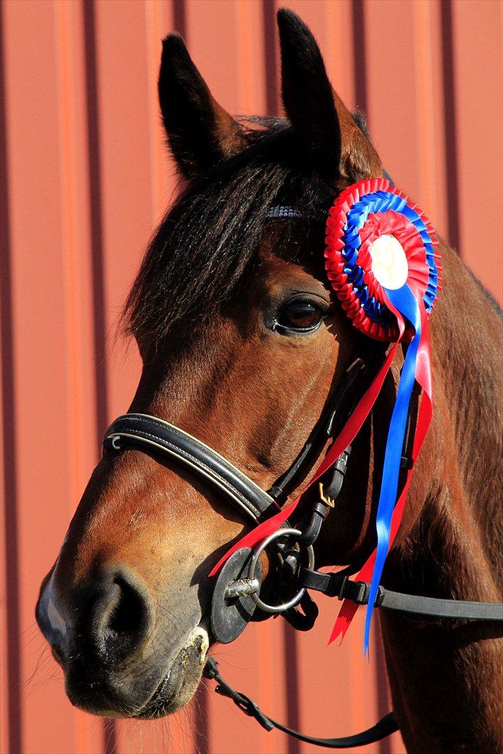 FØRSTE C-STÆVNE MED LB :D! billede 41
