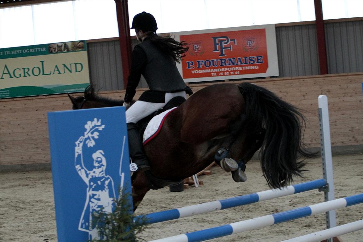 FØRSTE C-STÆVNE MED LB :D! - gode ben billede 52