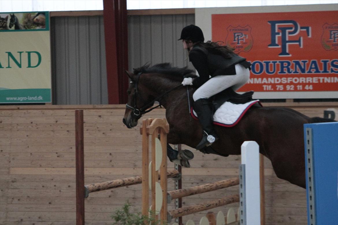 FØRSTE C-STÆVNE MED LB :D! - så bred en oksere :D! billede 58